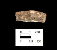 Wolfe Neck cross-section of sherd from Conowingo site 18CE14/161.